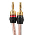 M-JP10 1pair Set Speaker Wire with 24k Gold Plated Connectors, 10AWG 5N OFC, 1.5M Length