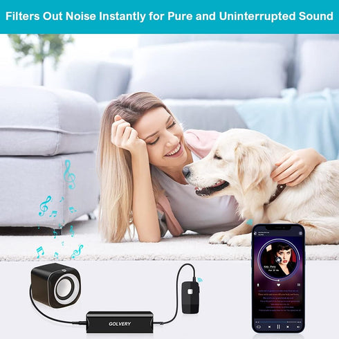 Golvery Ground Loop Noise Isolator, Audio Humming Hissing Buzzing Noise Filter for Car Audio, Home, PC Stereo System
