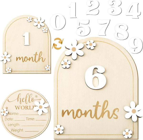 Baby Monthly Milestone Cards with Hello World Newborn Sign, Daisy Baby Milestone
