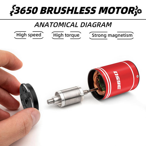 RCXAZ 3650 3.175mm 6600KV 1/10 TRX4 SCX10 (6600KV) Metal Brushless Motor Shaft Waterproof for RC High Speed Off-Road