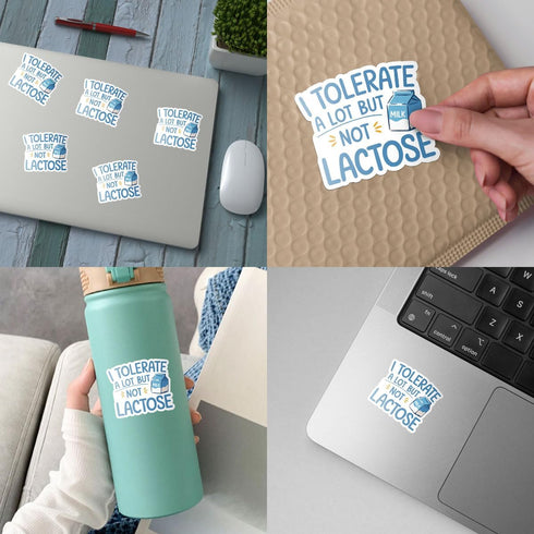 3Pcs Toolbox 3" I Tolerate a Lot But Not Lactose Sticker Fun and Funny Lactose Intolerant Stickers Gift for Milk Joke