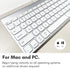 Macally Wired Keyboard for Mac | Compatible Apple Keyboard (78 Keys) for MacBook Pro/Air, iMac, Mac Mini