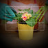 Rule of Thirds Photography Composition Viewer Finder, Portable Enhance Photography/Painting/Drawing View Finder