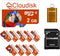 Cloudisk Pack of 10 Parrot-Prime Micro SD Card 2GB Flash Memory Card C6