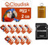 Cloudisk Pack of 10 Parrot-Prime Micro SD Card 2GB Flash Memory Card C6