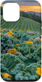 Kale Flower Field Beautiful Sunset Merch iPhone 12/12 Pro Kale Flower Field Beautiful Sunset Graphic Case