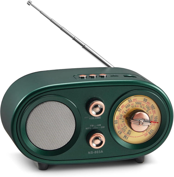 DGXWLLW Aesthetic Retro Radio Bluetooth Speaker, Vintage AM/FM/SW with Classic Dial, Cute Room