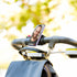 moofit 16/15/14/13/12 Magnetic Phone Holder, Magnet Fitness Phone Mount Accessory for Gym, Fitness Bikes, Workout