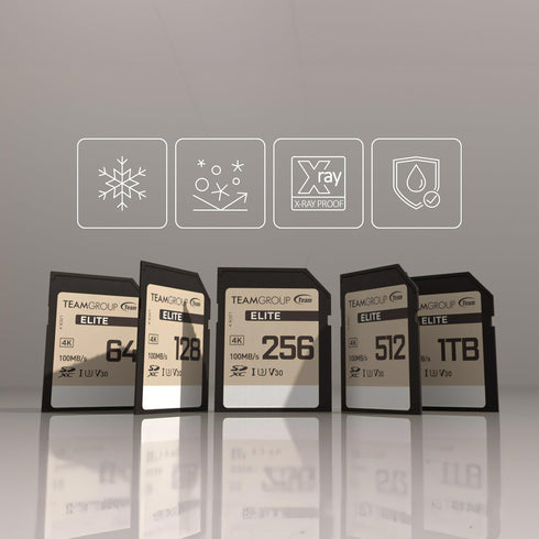 TEAMGROUP Elite 256GB UHS-I U3 V30 UHD SDXC Memory Card, Read Speed up to 100MB/s, Compatible with Canon Sony Nikon