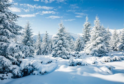 Leyiyi 5x3ft Photography Background, Snow Covered Mountain Backdrop for Christmas, Vinyl Studio Video Prop