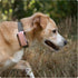 6 Tractive GPS Dog Tracker Cover - Pink