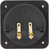 Speaker Box Terminal Cup, Square Double Binding Post Subwoofer Box Terminal Plates for DIY Home Car Stereo Speaker