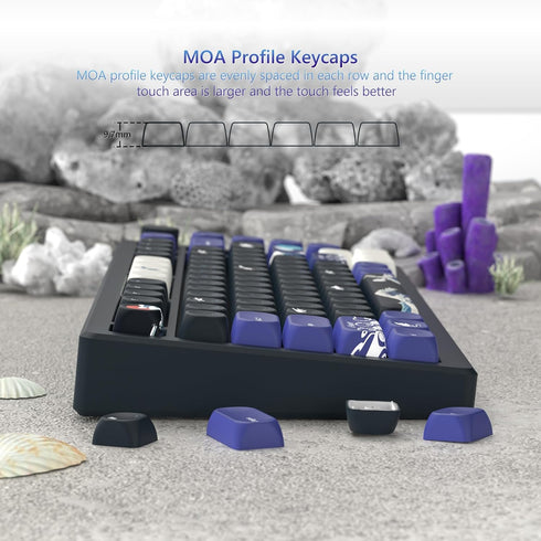 Womier MOA Keycaps, PBT Key Caps, Kanagawa Japanese Keycaps 75 Percent, Custom Keyboard Keycaps Set Gradation