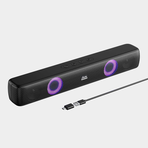 LEOTEC Computer Speakers with FM Radio,Stereo Sound,Portable Mini Sound Bar,Type-C Charging,AUX in,TF,USB for