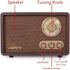 LoopTone Mp3 FM AM Radio Retro Wood Radio with Bluetooth Play and Antenna Built in Speaker for Kitchen Living Room