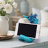 Hodao Cute Seahorse Phone Stand Holder for Desk Ocean & Animal Figurine Phone Holder Decoration Unique Gift