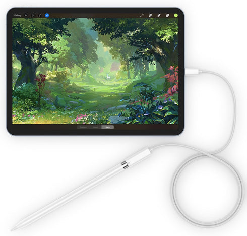 Pencil Charger Adapter for Apple Pencil 1st Generation, USB C to Pencil Adapter for iPad 10, USB-C to Lightning