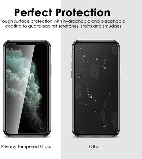 MICHETT CTREEY Anti-Scratch Tempered Glass Screen Protector for iPhone XS Max 2018 (16.5 inch, Black)