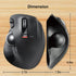 ELECOM EX-G Trackball Mouse, 2.4GHz USB Wireless, Ergonomic Design, 6 Programmable Buttons for Laptop PC