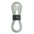 Native Union Belt Cable, USB-C to Lightning, 4ft, MFi Certified, Ultra-Strong Reinforced Charging Cable, Compatible