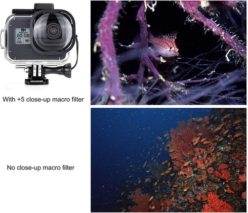 Waterproof Case with Dive Filters for GoPro Hero 8 Black, 196ft/60m Protective Underwater Diving Housing Accessories