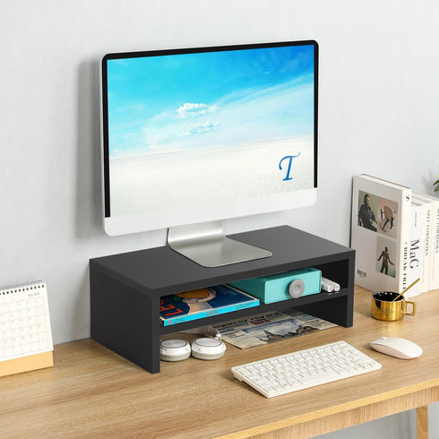 TEAMIX 2 Tiers Wooden Desktop Monitor Stand Riser, 20 Inch Printer Stand with Storage