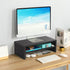 TEAMIX 2 Tiers Wooden Desktop Monitor Stand Riser, 20 Inch Printer Stand with Storage