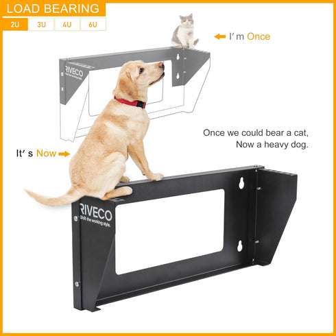 RIVECO 2U Wall Mount Rack for Network - Reinforced Heavy Load Small Server Racks for 19 inches IT Equipment