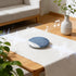 Generic Sleep Pillow Speaker, Bluetooth Pillow Speaker with White Noise Timer Wireless Sleep Aid with Stereo Bass