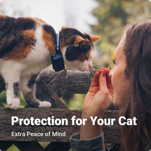 Tractive (Pack 2) GPS Cat Mini Clip Mounting