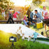 Flexible Webcam Stand and Cell Phone Tripod - Holder for Logitech, Nexigo Webcam, GoPro Camera and More