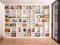 Mitivcati Bookcase Photography Backdrop School Library Study Bookshelf Scene Children Photography Backgrounds Customized