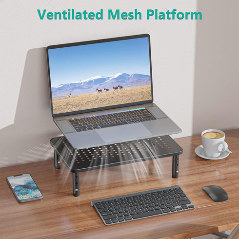 WALI Monitor Risers for 2 Monitors, Dual Monitor Riser, Laptop Riser for Desk, Adjustable Underneath Storage, Black