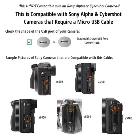 ienza Replacement USB Cable Cord for Sony Alpha a6000, a6300, a6500, a5100, a5000, and Cybershot DSCHX400V