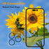 Pehael iPhone 14 Pro Privacy Screen Protector & Camera Lens Protector - 2+2 Pack, 9H Hardness, Easy Bubble-Free Install.
