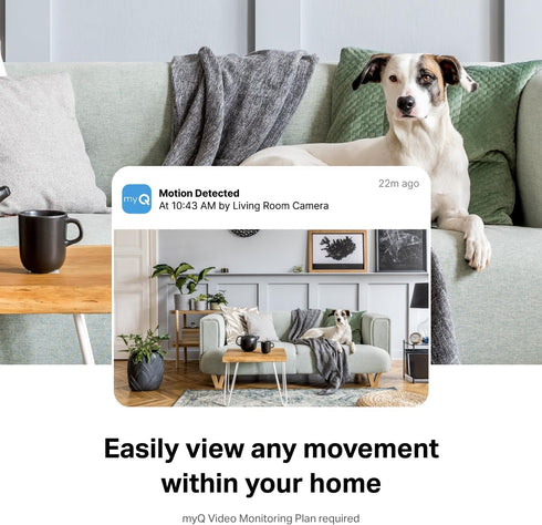 myQ Smart Indoor Security Camera – 1080p HD Video, Night Vision, Motion Detection, Two-Way Audio, Smartphone Control