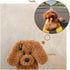 UnnFiko Super Cute Teddy Dog Fluffy Fur Case for iPhone 7 Plus/iPhone 8 Plus, Fuzzy Plush Soft TPU