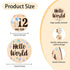13 Props(0-12 Baby Monthly Milestone Cards - Double-Sided Wooden Milestone Signs Discs with Bear & Star Designs, Little