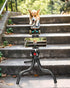 ZOINSHOT Phone Tripod, Upgraded Mini Flexible Tripod for iPhone with Wireless Remote, Portable Camera Tripod for Video