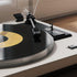 Whoasyst EZCAP613P MP3 33/45RPM Record to Converter with USB Integrated Auditory Speed Music Player