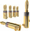 KabelDirekt Banana Plugs 5 Pairs for Speaker Wire AWG 10-16 with Gold Plated Fixing Screws