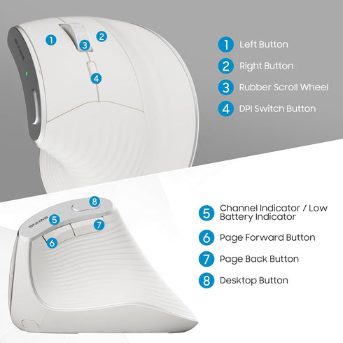 Wireless Vertical Ergonomic Mouse, Multi-Device with Bluetooth + 2.4G Connection, 4 Adjustable DPI for PC, Laptop,
