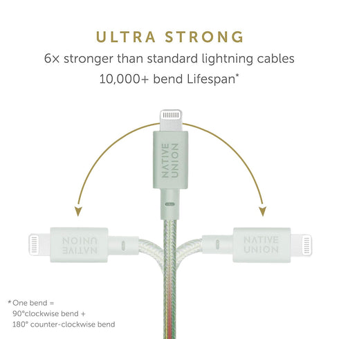 Native Union Belt Cable USB-C to Lightning, 10ft Ultra-Strong Reinforced Cable for iPhone 14 and Earlier (Sage)