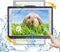 Shower Tablet Holder Waterproof, Wall Mounted Bathroom Case with Rotation and Anti-Fog Screen for 11 inches (Black)