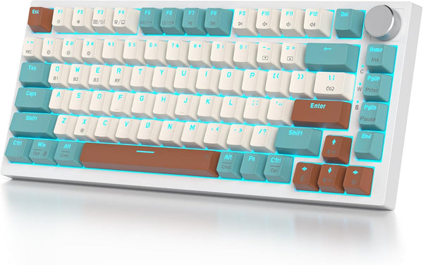 iTastatur 82 Keys Wireless Gaming Keyboard 75 Percent,Triple Mode Bluetooth/2.4Ghz/USB Pre-lubed Hot Swappable