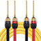 KK Cable YM-2C 10 Gauge(AWG) 1pair Set Speaker Wire with 24k Gold Plated Copper connectors, 5N OFC