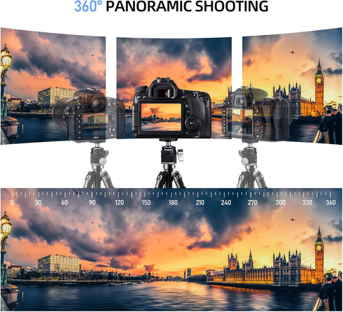 Mini Ball Head with 1/4" Screw, 3/8" Thread Mount Adapter, 360 Degree Rotatable Aluminum Tripod Head for DSLR, Max Load