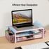 gianotter Monitor Stand with Drawer and Pen Holder, 2-Tier Desk Organizers and Accessories, Ideal for Office Supplies