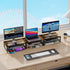 2-Tier gianotter Metal Monitor Stand Riser, Desk Organizer for Monitor, Office Desk Storage Organizer for Office
