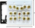 Speaker Wall Plate, 7.2 Home Theater, 2 RCA Wall Plate, Gold Plated Binding Posts for Speaker Setup